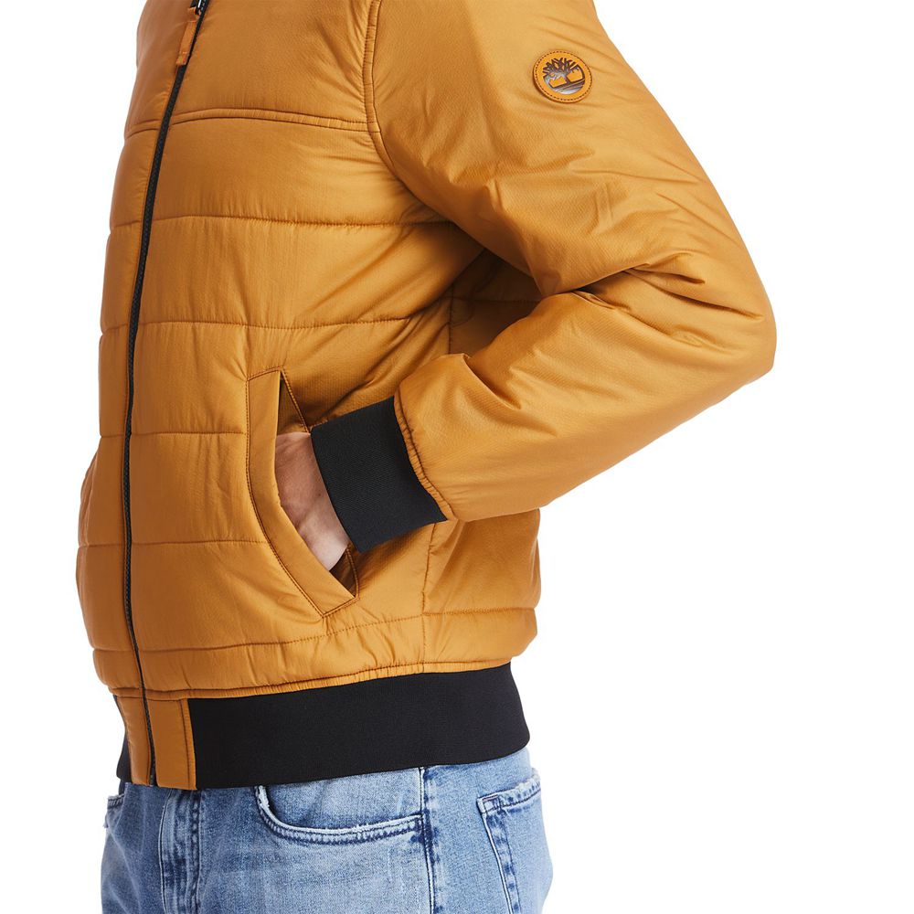 Chaquetas Timberland Argentina Hombre - Foss Mountain Reversible Lightweight - Marrones - EAQNOR-461